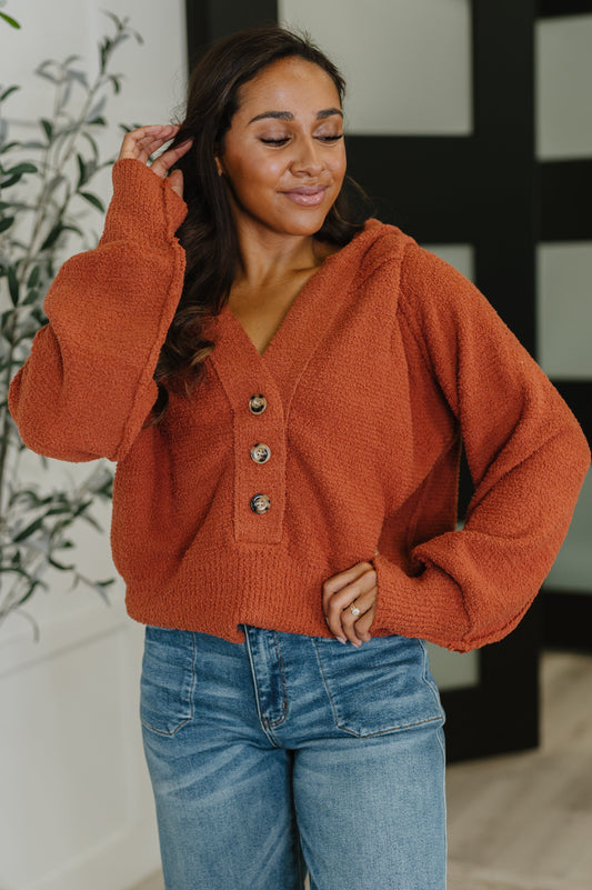 Textured Sweater Knit top in Rust by Andree by Unit
High Stretch
Banded V-Neckline
Functional Half Front Button Closures
Ribbed Hemline
Ribbed Banded Sleeve Cuff
Hooded
Exposed Seam Details
75% Nylon, 25% Acrylic
True to Size