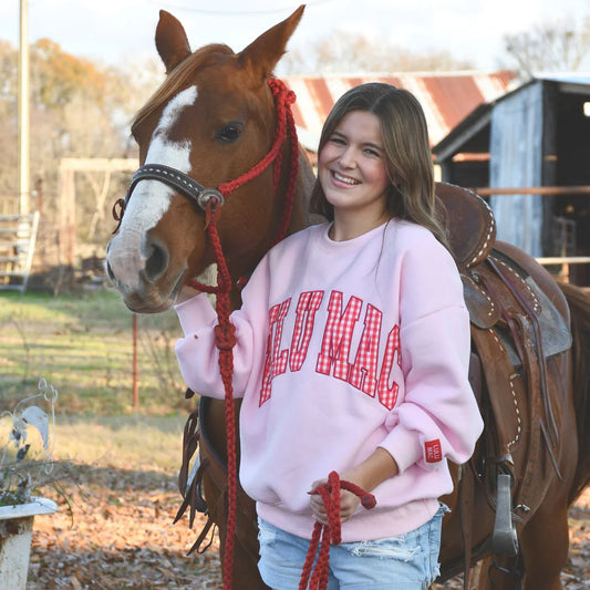 Girl in pink sweatshirt standing next to a horse in an outdoor setting